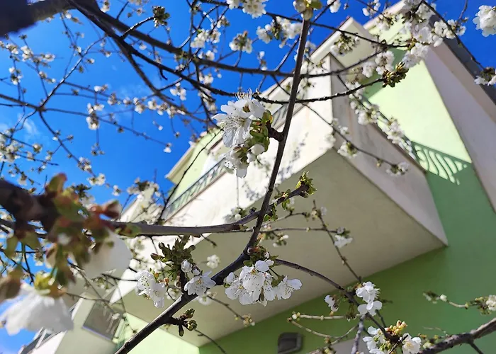 Lagoon, Hvar Island Daire