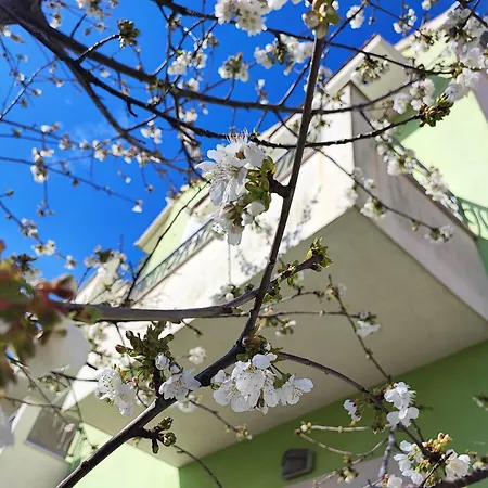 Lagoon, Hvar Island Appartamento
